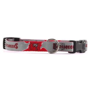 Tampa Bay Buccaneers Small Dog Collar