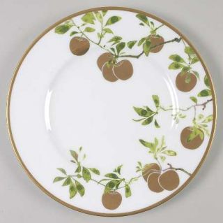 Waterford China Golden Apple Accent Salad Plate, Fine China Dinnerware   Green B