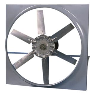 Canarm Direct Drive Wall Fan with Cabinet, Backguard and Shutter   30 Inch, 18,