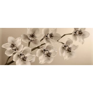 Graham & Brown Orchid Branch Photographic Print on Canvas 40 895