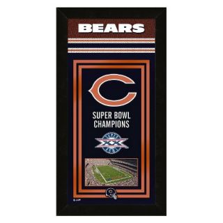 NFL Chicago Bears Framed Championship Banner