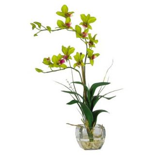Dendrobium Orchid in Glass Vase 22   Green