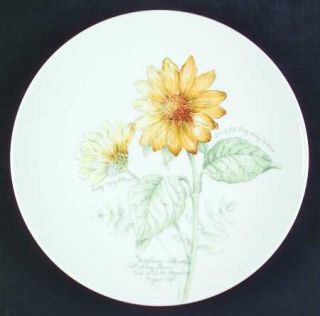 Lenox China Artist Sketchbook Sunflower Dinner Plate, Fine China Dinnerware   Ye