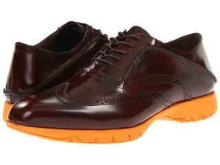Hush Puppies FIVE Brogue Mens Lace up casual Shoes (Brown)
