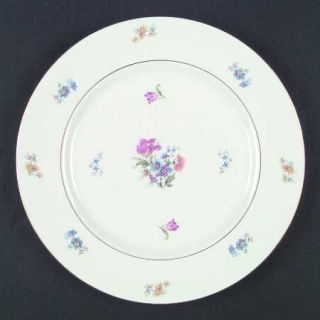 Royal Jackson Roj32 Dinner Plate, Fine China Dinnerware   Featherweight,Floral,
