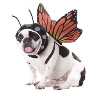 Butterfly Pet Costume   Medium