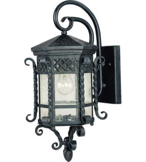 Scottsdale 1 Light Outdoor Wall Lights in Country Forge 30123CDCF