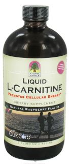 Natures Answer   Liquid L Carnitine Natural Raspberry Flavor   16 oz.