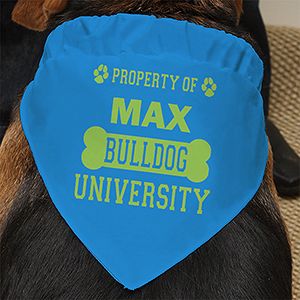 Personalized Dog Bandana   Property Of