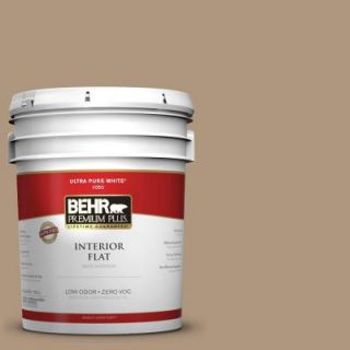 BEHR Premium Plus Home Decorators Collection 5 gal. #HDC WR14 3 Roasted Hazelnut Flat Interior Paint   DISCONTINUED 140005