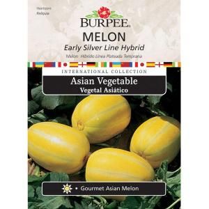 Burpee Asian Melon Early Silver Line Hybrid Seed 69636