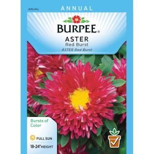 Burpee Aster Red Burst Seed 39383