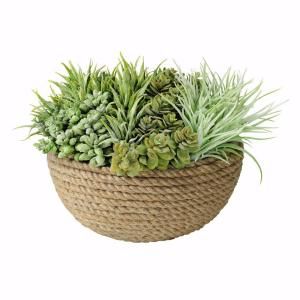 Home Decorators Collection 12 in. H Green and Terra Succulents in Wound Rope Pot DISCONTINUED 0152710610