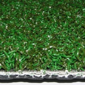 StarPro Greens Professional Putting Turf, Synthetic Golf Green, Worlds Best. 15 ft. Wide Rolls x Your Length (4.53/sq.ft. Equivalent) RGT1