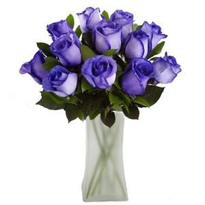 The Ultimate Bouquet Gorgeous Deep Purple Tinted Rose Bouquet in a Clear Vase (12 Stem), Overnight Shipping Included MD328