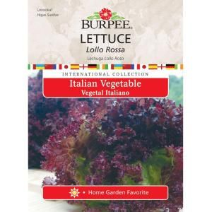Italian Lettuce Lolla Rossa 69615