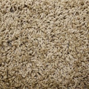 Home Decorators Collection Ryedale I Color Buccaneer 12 ft. Carpet HD050 TW5