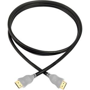 Accell UltraAV HDMI A AV Cable, 32 ft./10m CL3 B041C 032B 43