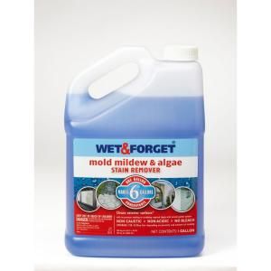 Wet & Forget 1 gal. Mold Mildew and Algae Stain Remover 800066CA