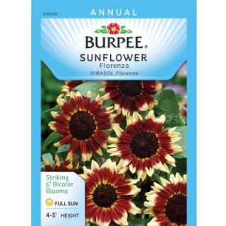 Burpee Sunflower Florenza Seed 31704