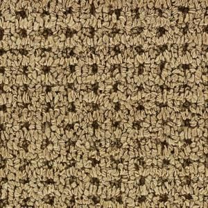 Martha Stewart Living Hillwood   Color Spud 15 ft. Carpet 902HDMS216