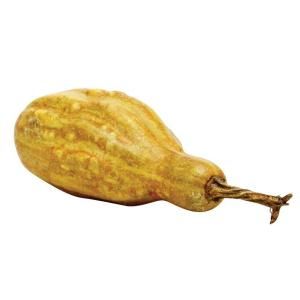 Home Decorators Collection Faux 6 in. W Gold Yellow Squash 1694210530