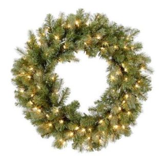 Home Accents Holiday 30 in. Feel RealDown Swept Douglas Fir Wreath with 100 Clear Lights PEDD1 369 30W