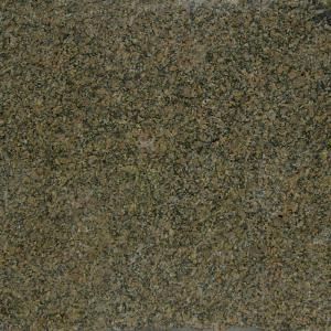 Stonemark Granite 3 in. Granite Countertop Sample in Giallo Vicenza DT G426