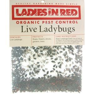 LADIES IN RED 1/3 Cup Ready to Use Bag of Live Ladybugs (3 Pack) 120