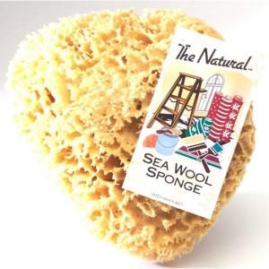The Natural 7 8 in. Sea Wool Sponge (Case of 4) SW 1 7080C