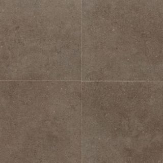 Daltile City View Neighborhood Park 24 in. x 24 in. Porcelain Floor and Wall Tile (11.62 sq. ft. / case) CY0524241P