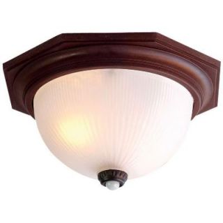 Acclaim Lighting Outer Banks Collection Ceiling Mount 2 Light Outdoor Architectural Bronze Fixture 75ABZM