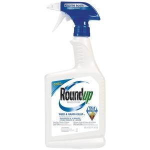 Roundup 24 oz. Ready to Use Weed and Grass Killer 5003010