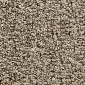 Home Decorators Collection Greenlee I   Color Clay Monolith 12 ft. Carpet 6857 TX02 1200 AB
