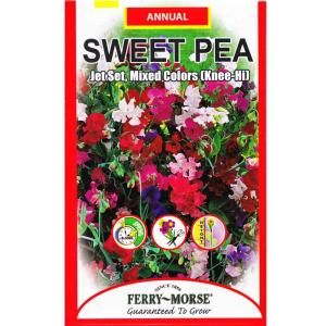 Ferry Morse Sweet Pea Jet Set Knee hi Mixed Seed 1159