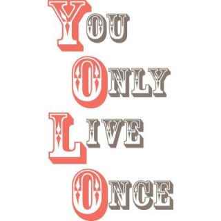 WallPOPs 3.5 in. x 2 in. Yolo You Only Live Once Wall Decal Quote WPQ0749