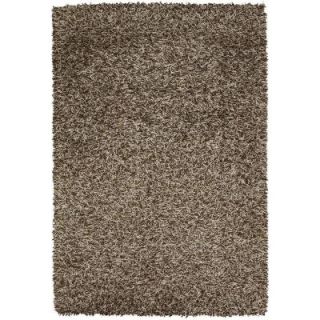 Chandra Sani Brown/Ivory 5 ft. x 7 ft. 6 in. Indoor Area Rug SAN5521 576