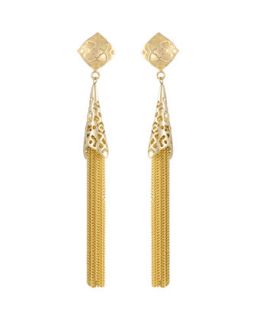 14k Gold Teishya Tassel Chain Earrings