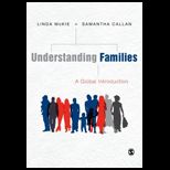 Understanding Families A Global Introduction