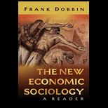 New Economic Sociology