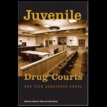 Juvenile Drug Courts And Teen Substance Abuse