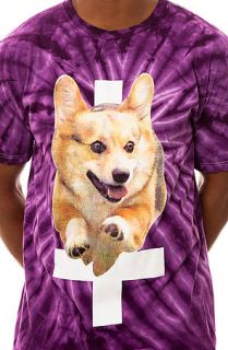 Flying Coffin The Hell Hound Tie Dye Tee in Purple