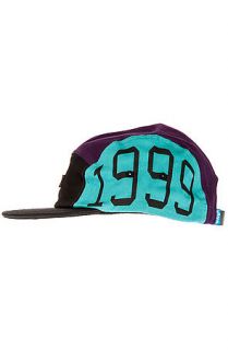 Entree Hat Unknown Grapes 5 Panel in Aqua, Purple and Black