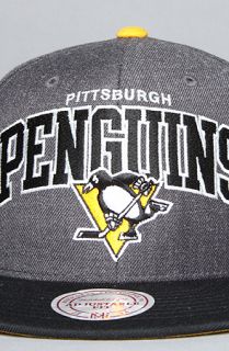 Mitchell & Ness The Pittsburgh Penguins Arch Logo G2 Snapback Hat in Gray