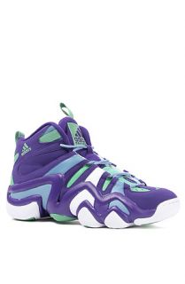 Adidas Sneaker Crazy 8 in Purple, White, and Blue