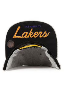 Mitchell & Ness Snapback Los Angeles Lakers Hardwood Classic in Grey and Purple