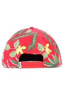 The VANS Broloha Surf Snapback Hat in Red Hawaiian