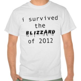 I Survived the Blizzard of 2012 T Shirt