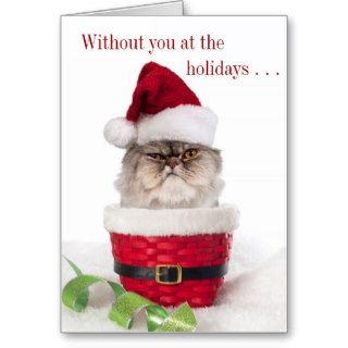 Funny Cranky Cat Christmas Cards