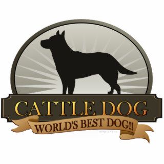 Cattle Dog Photo Cut Out